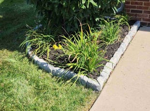Weeding by Gustavo Martinez for Melissa G. in Stafford, VA