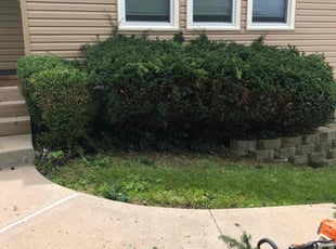 Bush Trimming by Aj Clark for Billy A. in Kansas City, MO