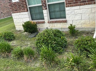 Kevin K.'s Bush Trimming service result