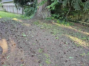 Cleanups by Gordon Grylls for Tom B. in Bonney Lake, WA