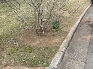 Cleanups by Parrish E Smith for Lisa C. in Jonesboro, GA