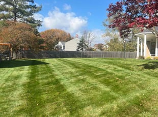 Bob R.'s Lawn Mowing service result