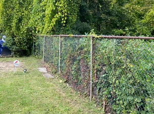 Cleanups by Aaron Knuckles for Cyndi w. in Cleveland, OH