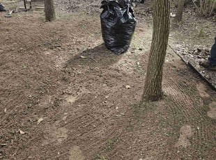 Brittany K.'s Leaf Removal service result