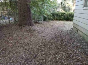 Leaf Removal by Christopher Harper for Linda B. in Gainesville, FL