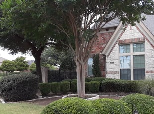 Bush Trimming by Tim Burnett for Cheryl S. in Rowlett, TX