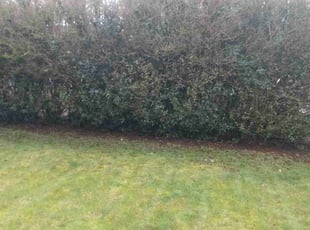 Cleanups by Zack Loewen for Rachel L. in Vancouver, WA