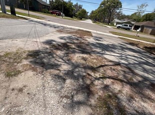 Leaf Removal by Cheryl Badger for Tamara H. in Tarpon Springs, FL