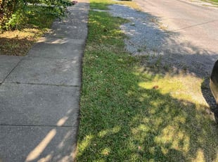 Leaf Removal by Devonta Wooten for Julia D. in New Orleans, LA