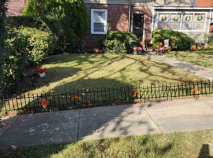 Chloe V.'s Leaf Removal service result