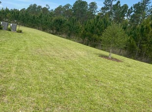 Rich J.'s Lawn Maintenance service result