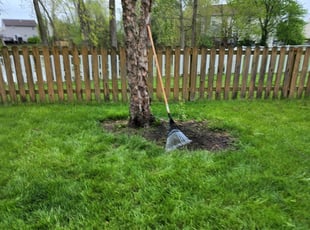 Cleanups by Harold Cupp for Thomas L. in Hilliard, OH