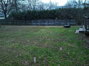 Leaf Removal by Michael King for Don G. in Medina, OH