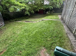 Leaf Removal by Fidel Rodriguez for Marin M. in Falls Church, VA