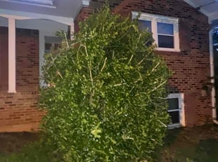 Bush Trimming by Cristopher Beltran for Damien K. in Decatur, GA
