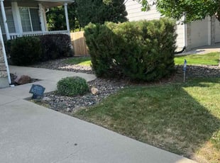 Cleanups by Jesse Nunez for Staci M. in Aurora, CO