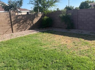Bush Trimming by Andrew Hoodzow for Steven M. in Mesa, AZ
