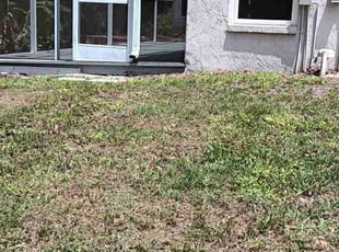 Leaf Removal by Andrew Bacon for Chad Q. in Tampa, FL