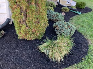Mulching by Darryl Blanchard for Chris S. in Brandywine, MD