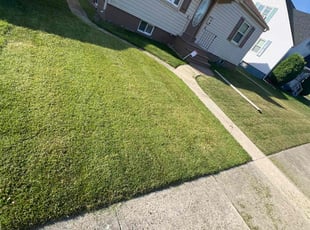 Shannon G.'s Lawn Maintenance service result