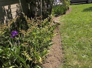 Weeding by Juan Manuel Silva correa for Adriana R. in Vancouver, WA