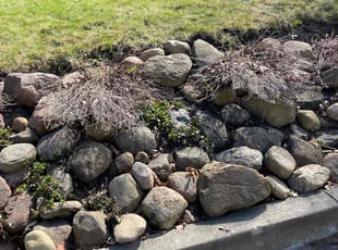 Cleanups by Scott Basinger for Emily S. in Lakewood, OH