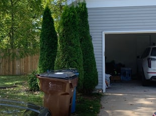 Bush Trimming by Ryan Cooper for Lasia C. in Grand Rapids, MI