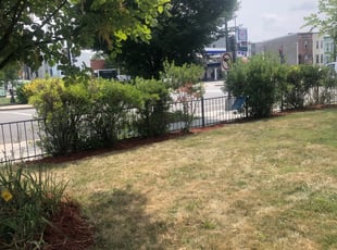Mulching by Daron Dudley for Ken W. in Washington, DC