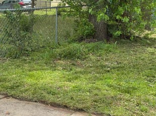 Cleanups by Marsi Perry for Malty J. in El Dorado, KS