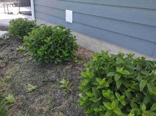 Bush Trimming by Daniel Bunch for Michael M. in Hilliard, OH