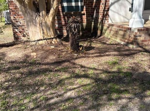 Cleanups by Jerry Wells for Jessica S. in Zachary, LA