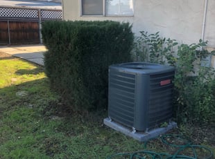 Bush Trimming by Saul Sahagun for Tenisha A. in Sacramento, CA