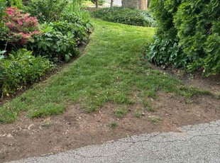 Leaf Removal by Norberto Soto for Jane L. in Narberth, PA
