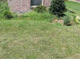 Bush Trimming by Stephanie Kerr for M. in Joshua, TX