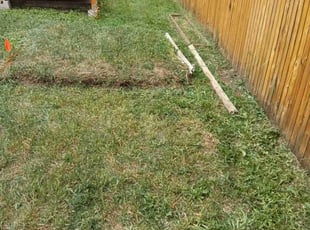 Cleanups by Tom Davis for Alex G. in Littleton, CO