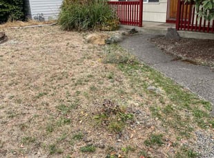 Bush Trimming by Cesilia Servin-Vega for Sally M. in Portland, OR