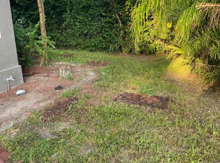 Cleanups by Maurice Williams for Colton C. in Bartow, FL