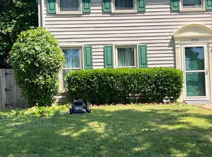 Bush Trimming by Debbie Carper for Frances R. in Virginia Beach, VA