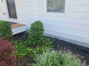 Bush Trimming by Anthony Wagner for Tenisia R. in Saint Charles, MO