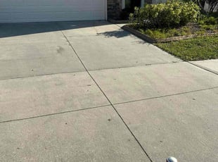 Bush Trimming by William Chavers for Cordell B. in Riverview, FL