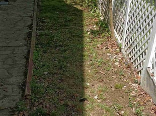 Leaf Removal by Albert Forbes for Jerry P. in Baltimore, MD