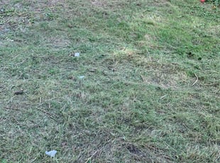 Cleanups by Andrew Perch for Marc G. in Worcester, MA