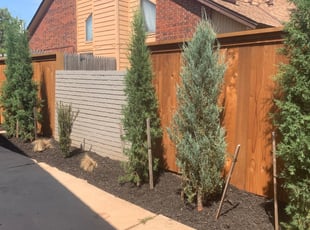 Landscaping by Leray Thornton for Larry T. in Oklahoma City, OK