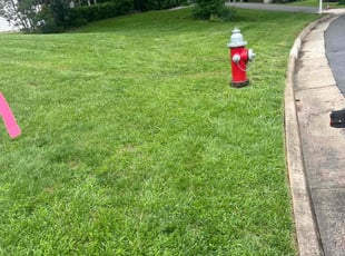 TANYA R.'s Bush Trimming service result