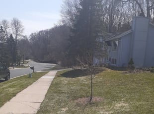 Leaf Removal by Jeremy Osell for Jordan J. in Maple Grove, MN
