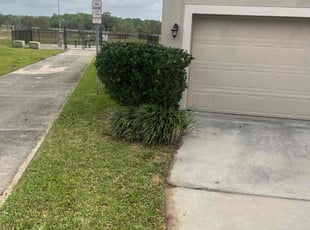 Landscaping by William Harvey for MAVERICK N. in Haines City, FL