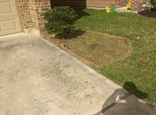 Cleanups by Yanet Maciel for Alex K. in Houston, TX