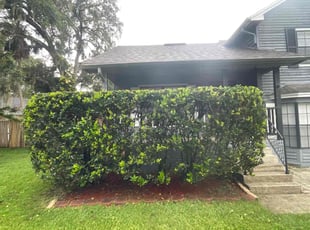 Bush Trimming by Ramon Taguja for Thomas H. in Seffner, FL