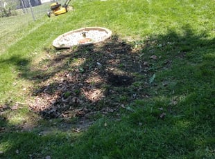 Weeding by Justin Tellez for Allinda H. in Cincinnati, OH