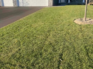 Ray J.'s Lawn Care service result
